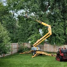 West Liberty, WV  Tree Services Company